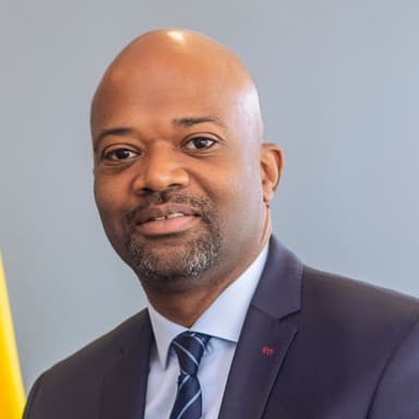 H. E. Alex Assanvo